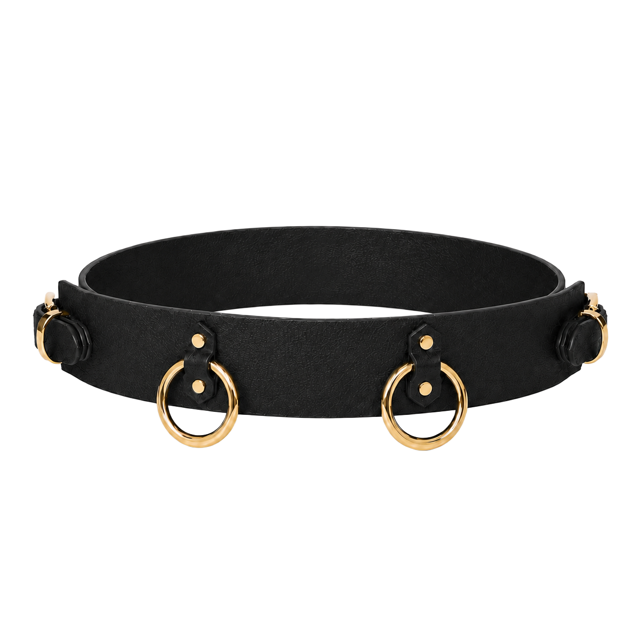 T005 - Belt - The Hermit
